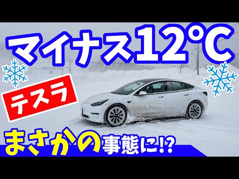 【テスラ】マイナス12度　ヤバイ！どうなる？｜真冬の雪の中