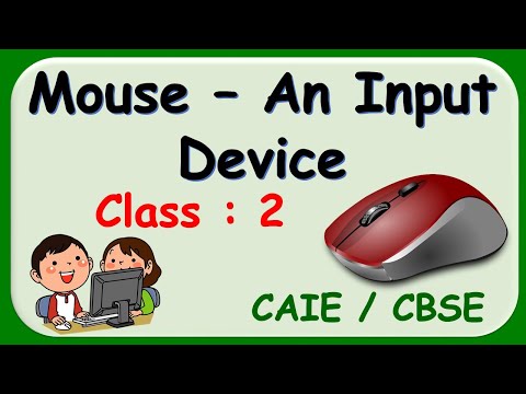 Mouse - An Input Device  || Class : 2 || Computer || CAIE / CBSE || Computer Mouse