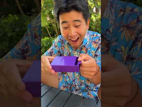 The Box's Little Secret! I Was Shocked After Watching