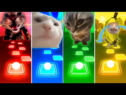 Doorbell Cat vs Vibing Cat vs Chipi Chipi Chapa Chapa Cat vs Banana Cat - Tiles Hop EDM Rush