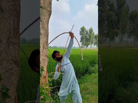 garib bachy ny birds ko Bacha Lia #trendingshorts #viralvideos #shortvideos #ytshorts