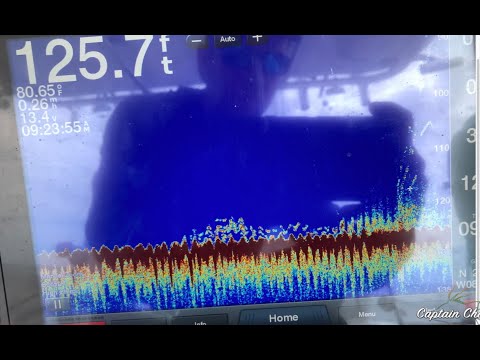 Found small shipwreck fishing spot with goliath grouper, red snapper and much more!