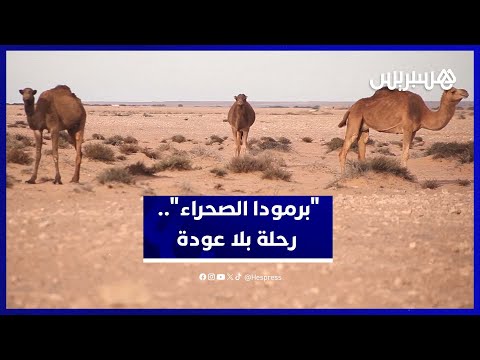 "برمودا الصحراء".. رحلة الموت التي تهدد حياة الرحل بالمغرب