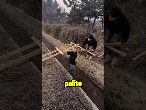 HICE EL PUESTE MÁS RESISTENTE DE TODOS #parody