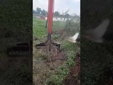 กินข้าวเสร็จเช็ครถเสร็จลุยเลยครับเรือรออยู่ร้านผักเข้ามาให้เรา #excavator #fish #fishing #shorts