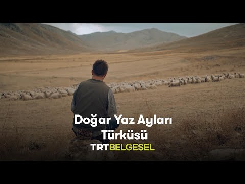 Doğar Yaz Ayları | Anadolu'da Yaşam