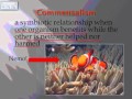 Ecological Relationships and Biodiversity