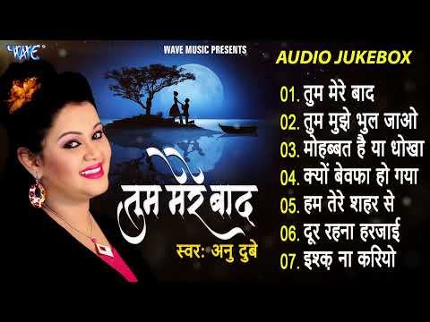 तुम मेरे बाद मोहब्बत को तरस जाओगे   Anu Dubey   Tum Mere Bad Full Songs   Jukebox   Hindi Sad Song