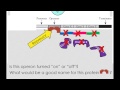 Operon Function and Regulation