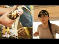 Everglades Team Experiences and Reactions
