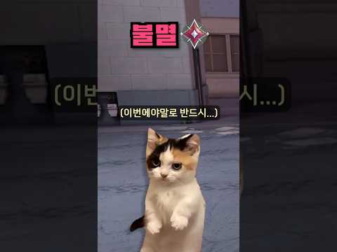 티어별 랭크전 차이 2탄 #발로란트