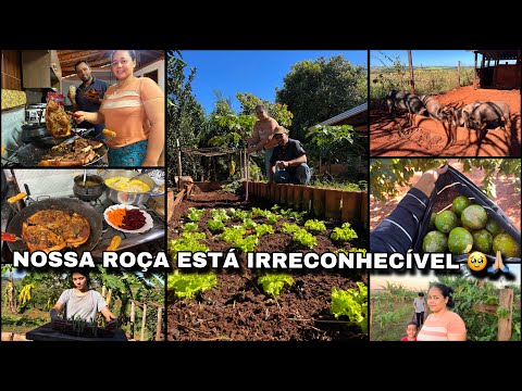 MAIS UM GRANDE PASSO POR AQUI🙏🏼|TEM SIDO DIFÍCIL MAS DEUS TEM NOS SUSTENTADO! MANHÃ TODA COM A GENTE