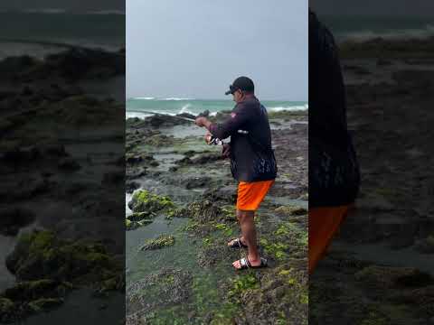 crazy fishing with live baite