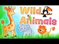 Animal Mentions in Sections