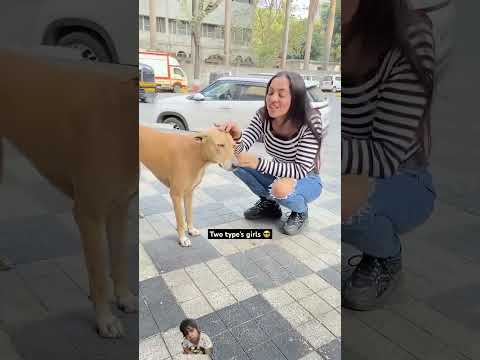 #dog #funny #comedy #doglover #pets #girls #viral #youtubeshorts#shorts#shortsvideo#shortsfeed