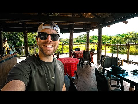 Trying A Disney World Premium Experience: Savor the Savanna! The $160 Experience