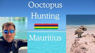MASTER OF DISGUISE! Octopus Hides in Plain Sight, Then Meets a Friend!