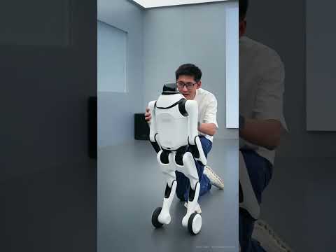 This Transformer Robot Switches From Dog to Humanoid
