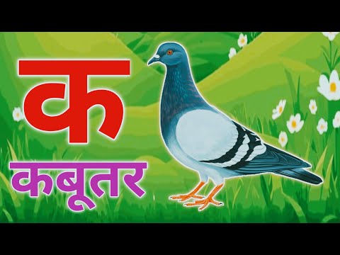अ से अनार, आ से आम, हिंदी वर्णमाला, ka se kabutar, a seanar, aa se aam, हिंदीस्वरब्यंजन #kidssong
