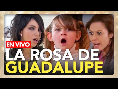 La Rosa de Guadalupe 24/7 🚨LO MÁS VIRAL