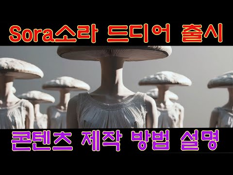 Sora - 드디어 공식 출시 되었습니다. 지금 당장 사용 가능 합니다