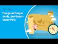 Understanding Maps