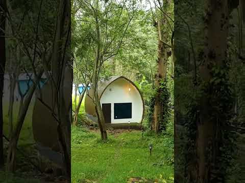 சேலம் ஏற்காடு budget resort 2500 3 time non veg food unlimited  | Couples  | Booking : 7806909596
