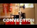 Convection and Density in Liquids