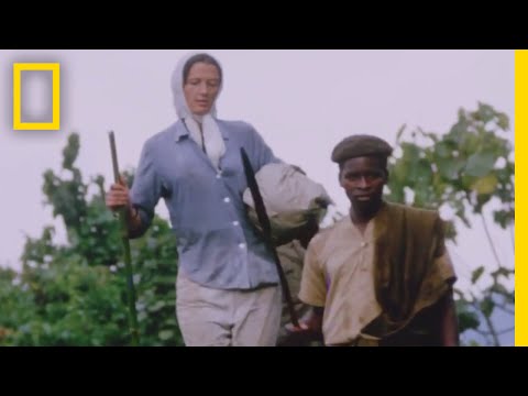 Dian Fossey: Secrets in the Mist | National Geographic