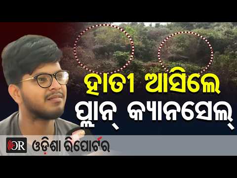 ହାତୀ ଆସିଲେ ପ୍ଲାନ୍ କ୍ୟାନସେଲ୍ | Odisha Reporter
