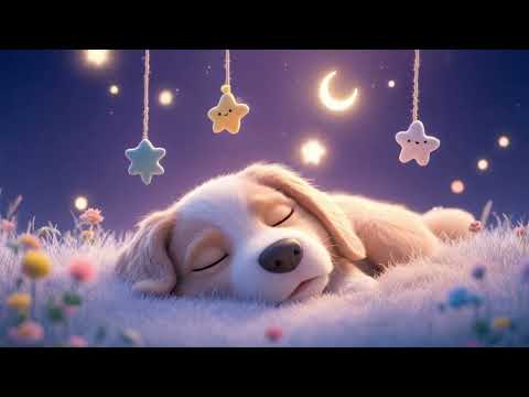Baby Sleep Music 🎵 Fall Asleep Fast in 3 Minutes | Mozart & Brahms Lullabies for Sweet Dreams 00