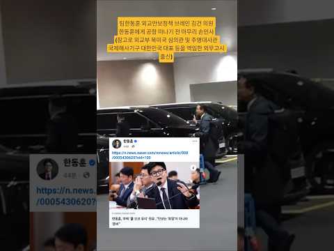 팀한동훈 외교안보정책 브레인 김건 의원 한동훈에게 공항 떠나기 <strong>전</strong> 마무리 손인사(참고로 외교부 북미국 심의관 및 주영대사관 국제해사기구 대한민국 <strong>대표</strong> 등을 역임한 외무고시 출신)