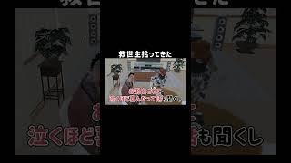 【ストリーマーグラセフ】救世主拾いました【シミュグラ】