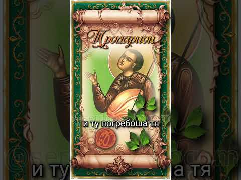 25 июня Блж. Иоанн Московский, Христа ради юродивый (ок.1589г)