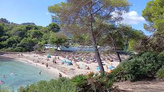 Mallorca: Font de Sa Cala.  #mallorca #beach #viral #urlaub #strand #fürdich #fyp #ytshorts #yt #fy
