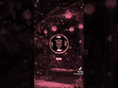 đi tìm giọng hát hay nhất