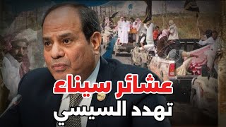 عاجل: عشائر سيناء تنفجر في وجه السيسي وهذا ما طالبت بتنفيذه فورا في غزة.. أسرار خطيرة وغير متوقعة