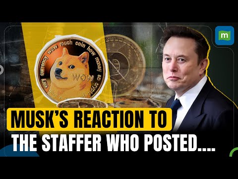 "To forgive divine": Musk backs DOGE staffer who posted “normalize Indian hate”