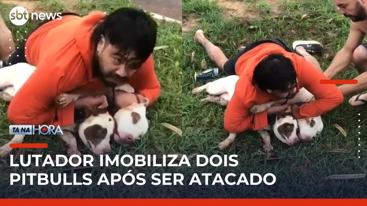 Professor de artes marciais imobiliza dois pitbulls após ser atacado em Ponta Porã (MS) | #TanaHora