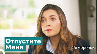 До Сумасшествия Сейран Остался Всего Шаг | Зимородок