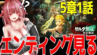 ゼルダ無双 封印戦記 　5章エンディングまで突き進む【#zeldamusoufuuinsenki】