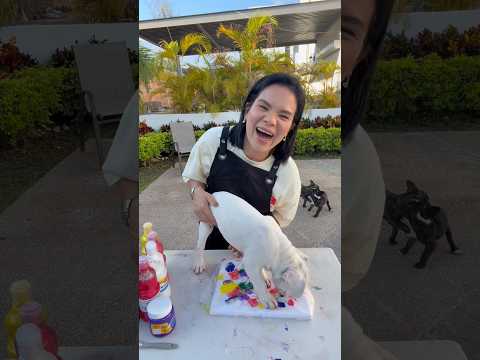 Cuadro hecho por mis perritos 🐶🤭 #ananana