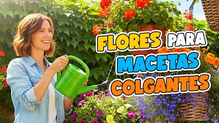 10 Flores Ideales para Macetas y Cestas Colgantes