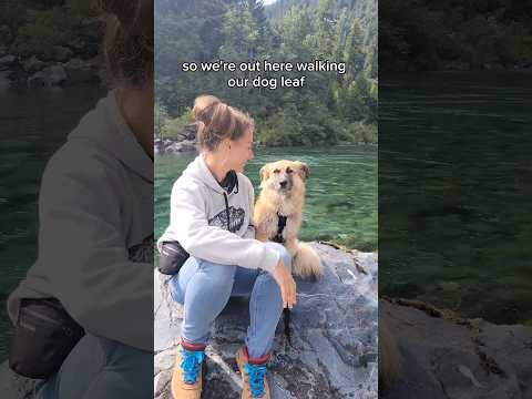 Found in Redwood National Park!  #adventurecat #dog