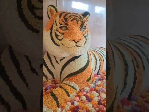 😱🐯Royal Tiger🐅❤️#shorts#ytshorts#youtubeshorts#viral#reels#shortsfeed#song#india#shiv#bhajan#diwali