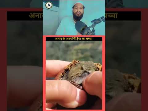 Zindagi Dene Wali Zaat Allah Ki ♥️