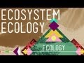 Exploring Trophic Structures in Ecosystem Ecology