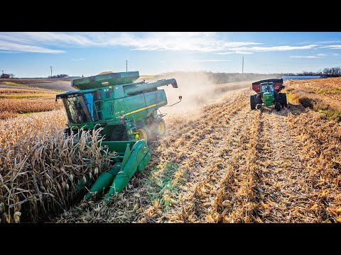 50 Acres Left | Corn Harvest 2023