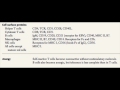 Immune Cell Markers and Functions