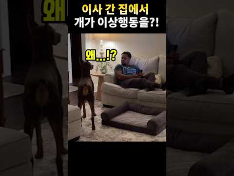 보호자도 등골 오싹… 녹스가 쳐다본 곳의 정체